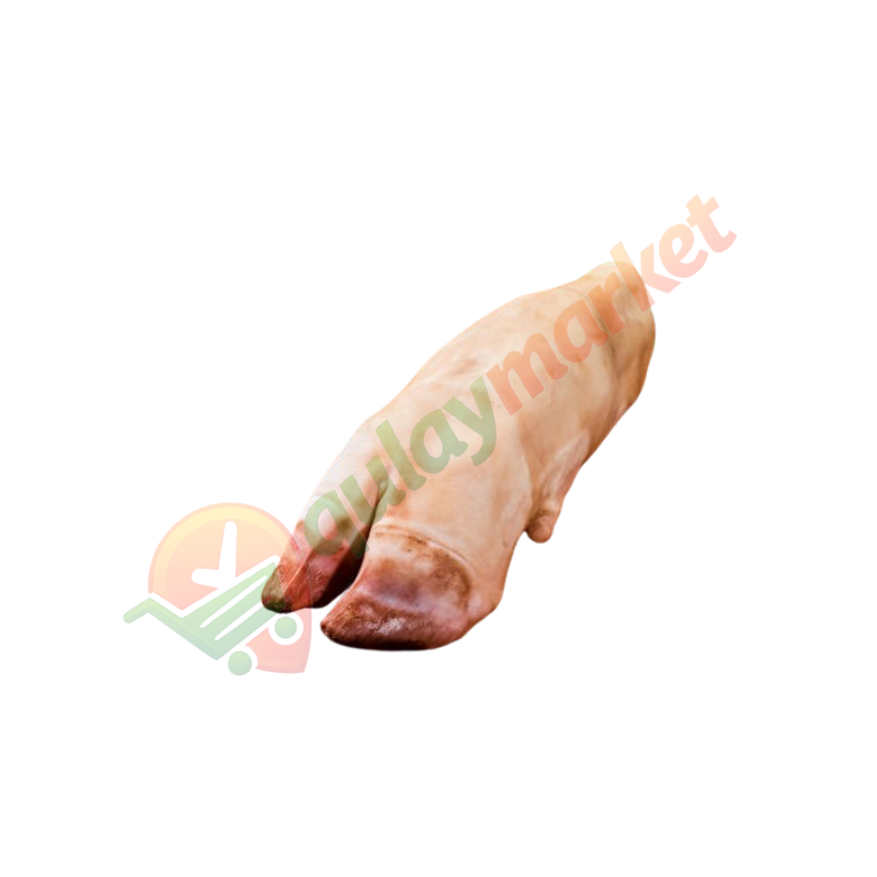 Mol oyog`i